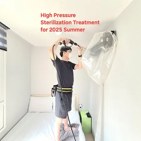 Hostel Tommy Renewal 2025