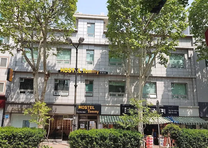 Tommy Jongno ---- Tax Return Authorized Shop 4* Seúl